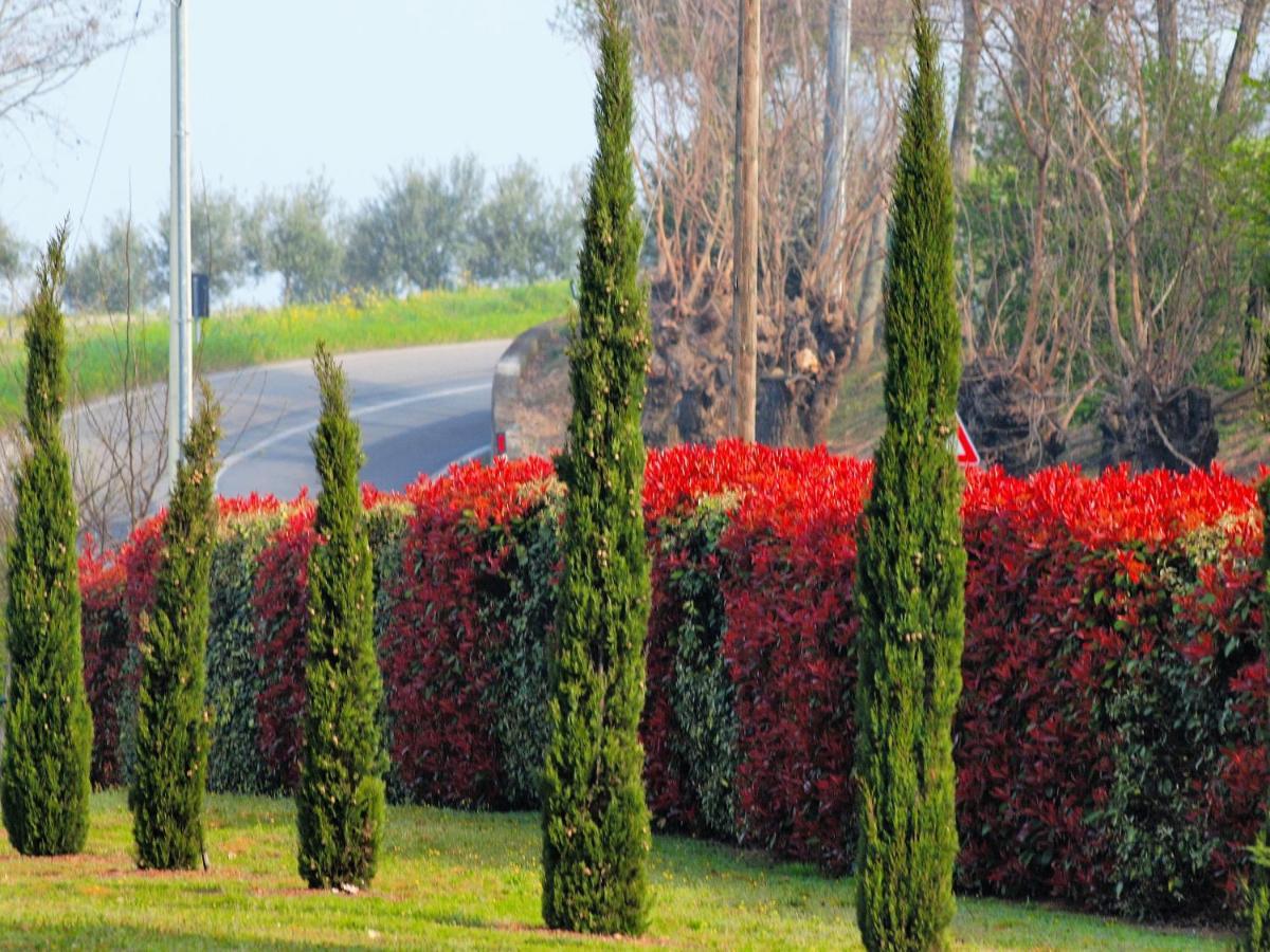 La Colombara - Fra I Colli A 5 Minuti Dall'Autodromo Imola Exterior photo