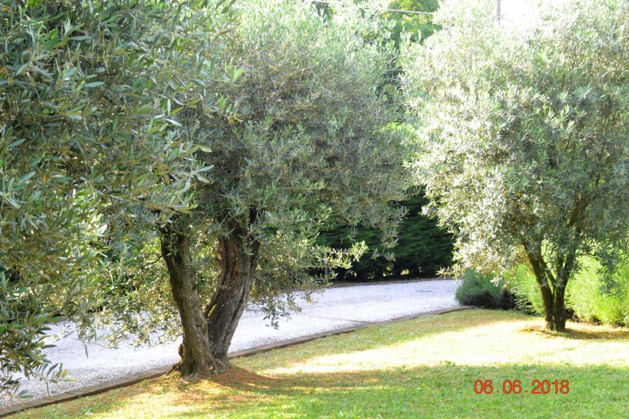 La Colombara - Fra I Colli A 5 Minuti Dall'Autodromo Imola Exterior photo